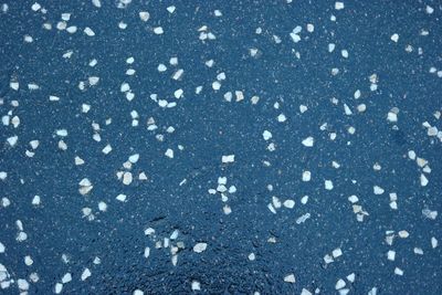 Full frame shot of snowflakes on blue background