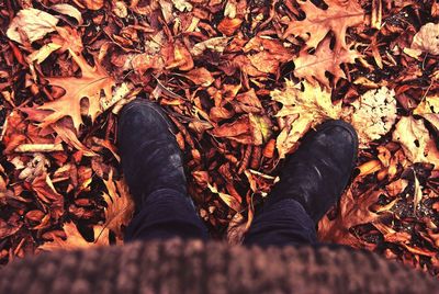 Low section of man standing by autumn leaves