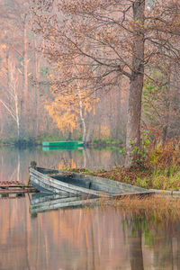 An old, wooden, leaky boat standing by the lake shore. in the background colourful fall trees