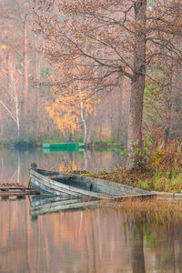 Scenic view of lake in forest during autumn