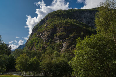 Panoramic view of trees and mountains against sky