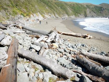 Driftwoods on seashore with tourists in background