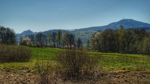Scenic view of field against sky