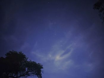 Low angle view of silhouette trees against sky at night