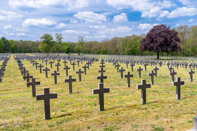 A lot of small, concrete crosses at the german war cemetery in the netherlands.