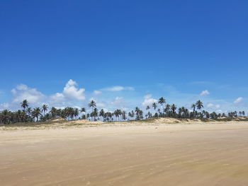View of sand dunes against blue sky