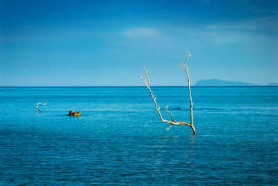 Scenic view of sea against blue sky