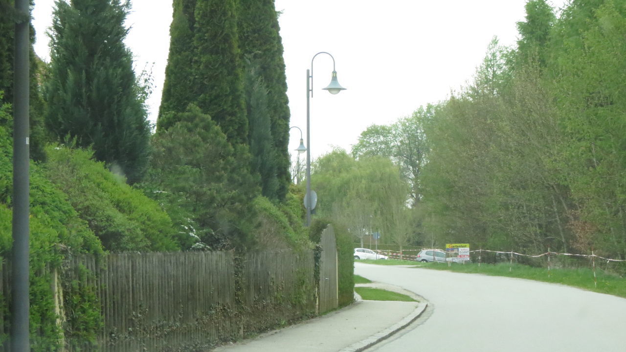 STREET BY TREES AGAINST SKY