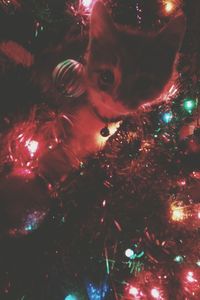 View of illuminated street lights at night