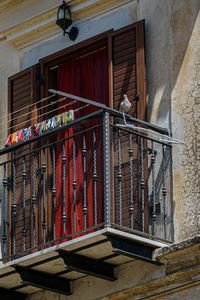 Low angle view of birds against building