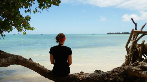 Rear view of woman sitting on branch at beach against sky