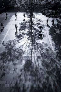 High angle view of people walking on street