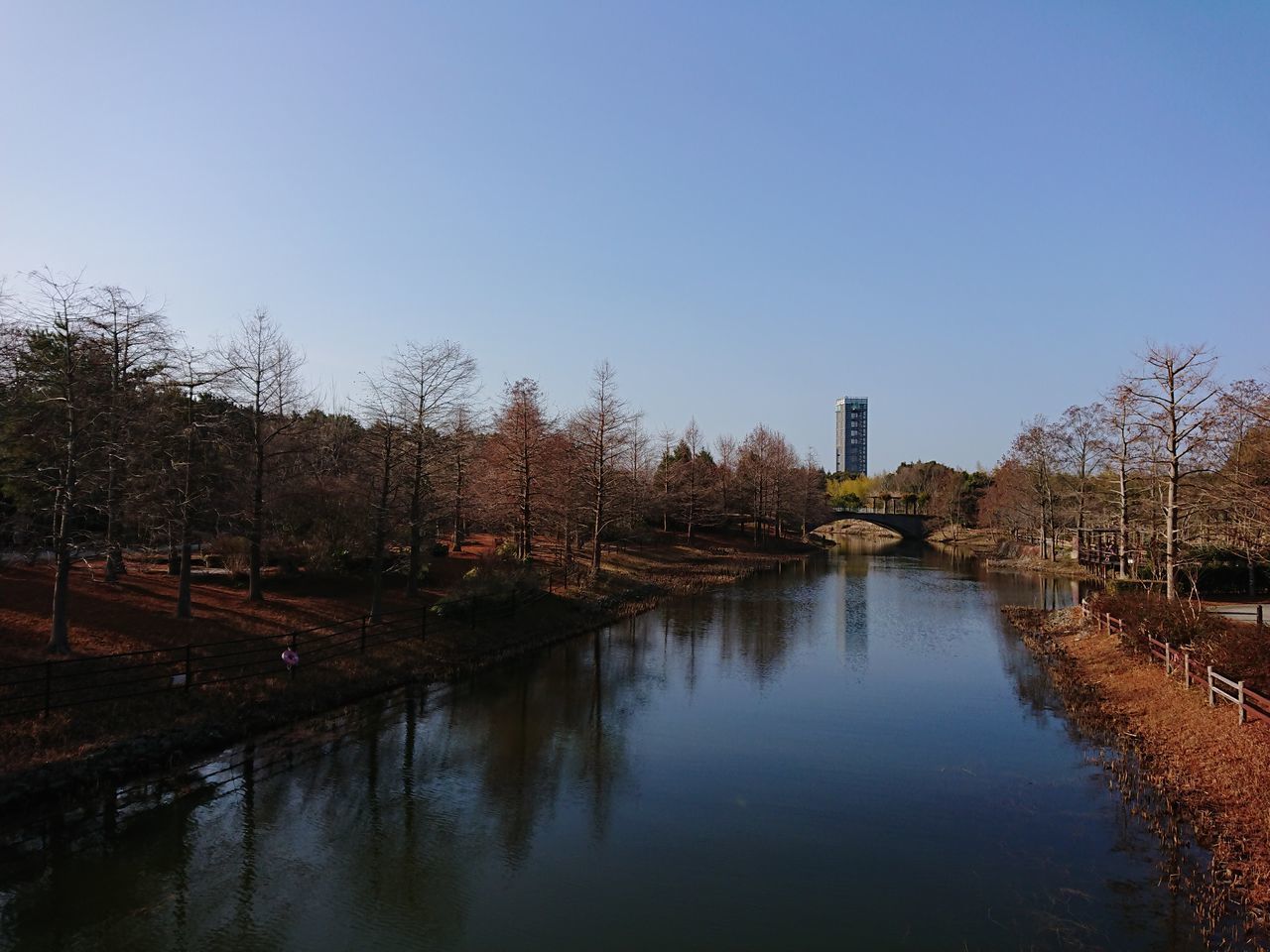 RIVER BY TREES AGAINST CLEAR SKY