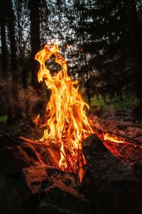Bonfire in forest at night
