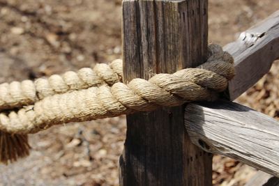 Close-up of rope tied on wooden post