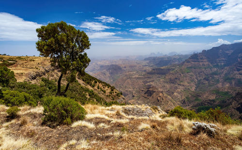 Scenic view of landscape against sky