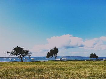 Scenic view of sea against blue sky