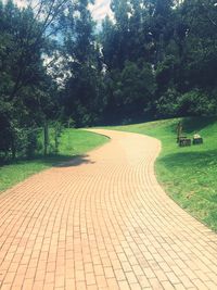 Empty footpath leading towards trees