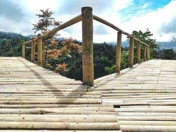 Boardwalk amidst trees against sky