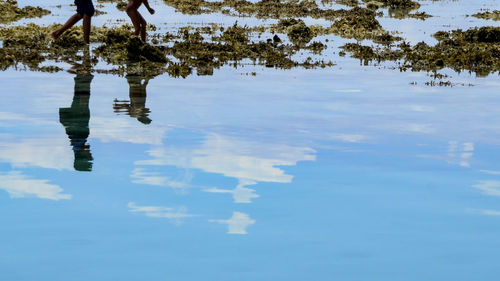 Reflection of tree in lake against sky