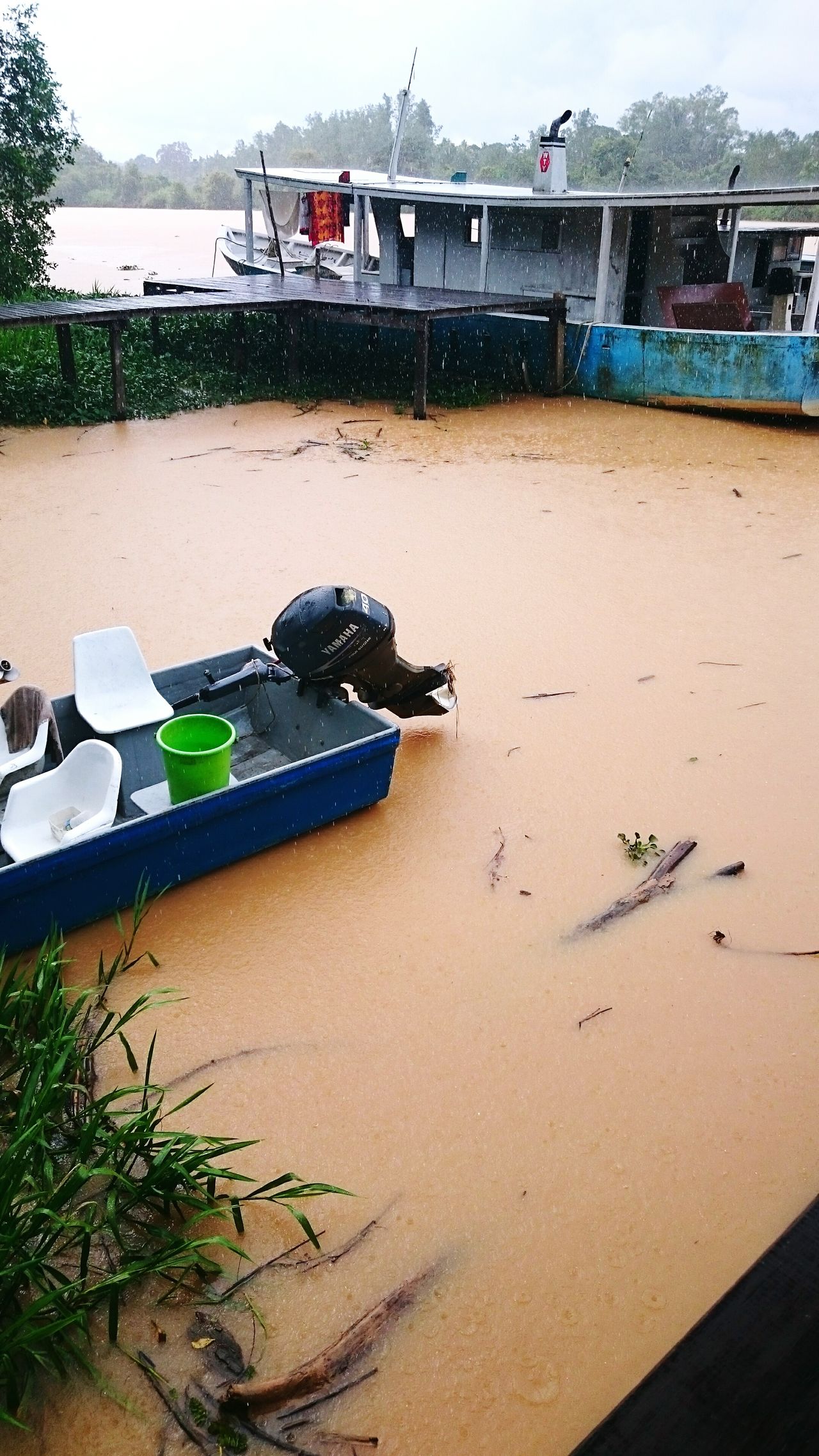 Kinabatangan river