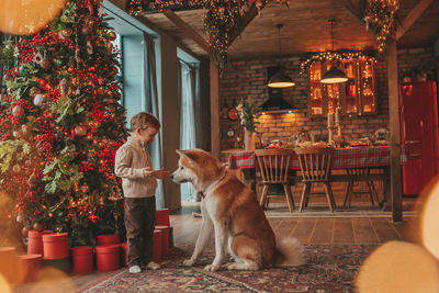 Candid authentic happy little boy in knitted beige sweater hugs dog with bow tie at home on xmas