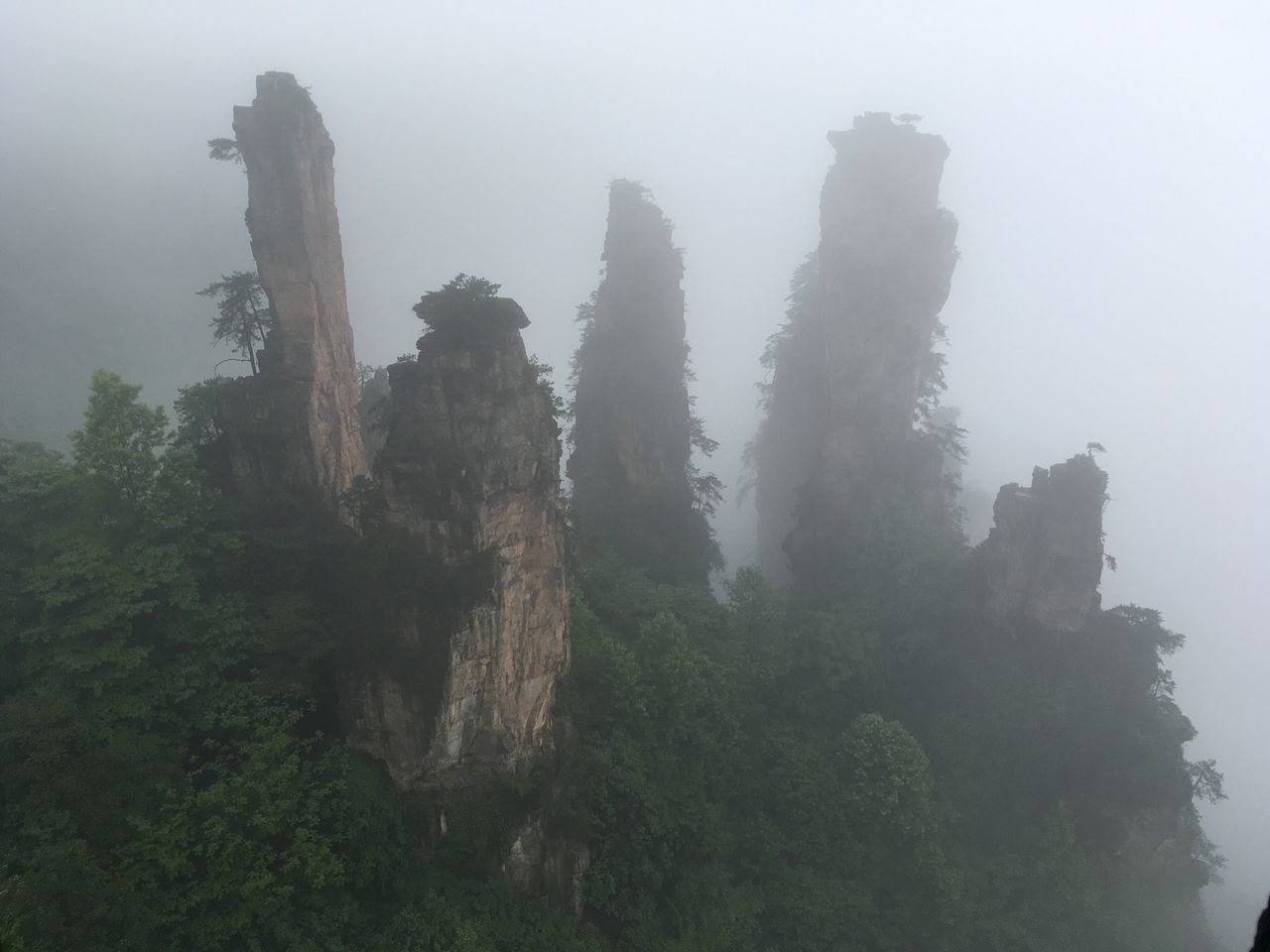 fog, foggy, tree, weather, sky, low angle view, nature, built structure, growth, building exterior, tranquility, day, no people, outdoors, architecture, beauty in nature, rock - object, tranquil scene, scenics