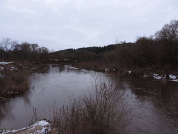 Scenic view of river in forest against sky
