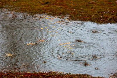 High angle view of rippled water in puddle