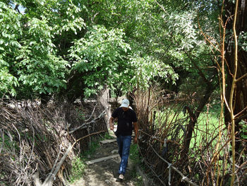 Rear view of woman walking in forest