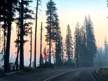 Road amidst silhouette trees against sky during sunset