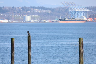 Wooden posts in sea against sky