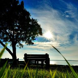 Scenic view of grassy field against sky