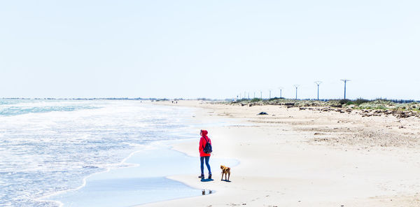 Rear view of woman walking with dog on beach against clear sky