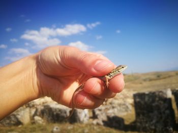Close-up of person holding lizard against sky
