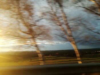 Road by trees against sky