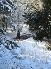 Rear view of man walking on snow covered land