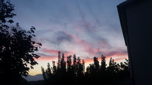 Low angle view of silhouette trees against dramatic sky