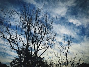 Low angle view of silhouette tree against sky