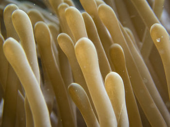 Full frame shot of sea