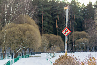 Road sign by trees in forest during winter