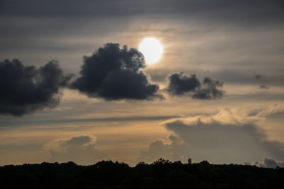 Silhouette trees against sky during sunset