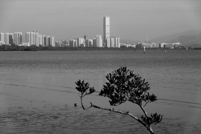 Sea by city buildings against sky