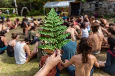 Rear view of people enjoying at plants