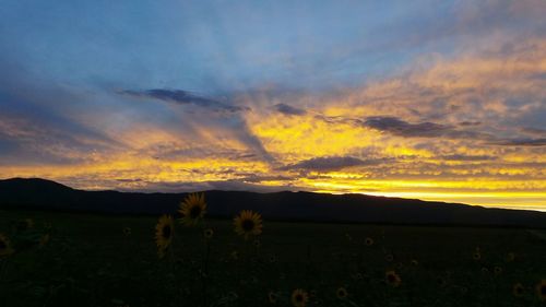 Silhouette landscape against sky during sunset