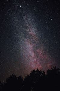 Low angle view of trees against sky at night