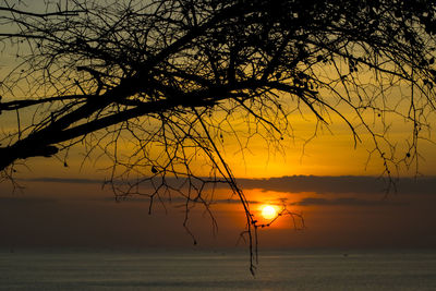 Silhouette bare tree against sky during sunset