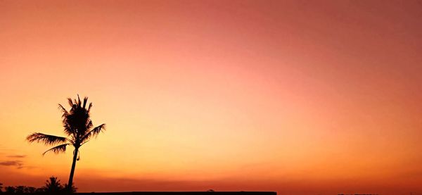 Silhouette plant against sky during sunset