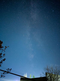 Low angle view of tree against sky at night