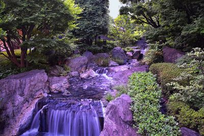 Scenic view of waterfall in forest